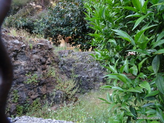 Ipogeo Quadrato
